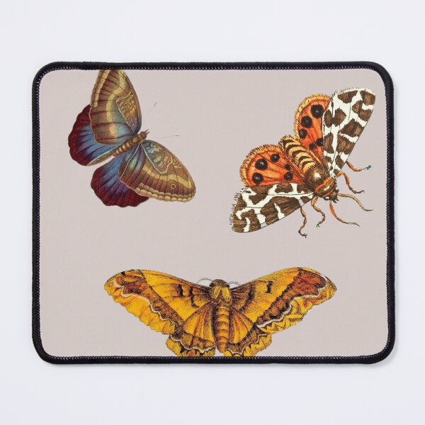 Item preview, Scientific illustration of three tropical butterflies. designed and sold by scientiafemina.