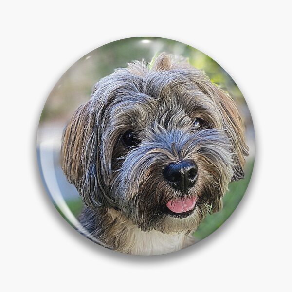 Item preview, Lindo cachorro marrón designed and sold by SilverCow.
