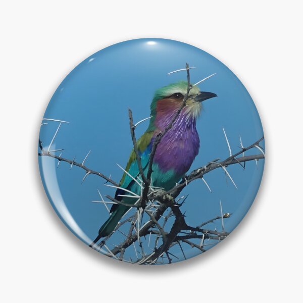 Item preview, Lilac-breasted roller bird - Etosha, Namibia designed and sold by Vik-Ink.