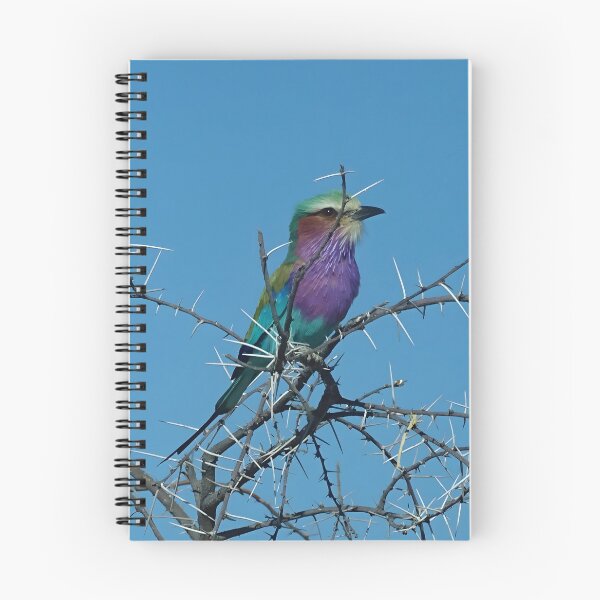 Item preview, Pájaro carraca de pecho lila - Etosha, Namibia designed and sold by Vik-Ink.