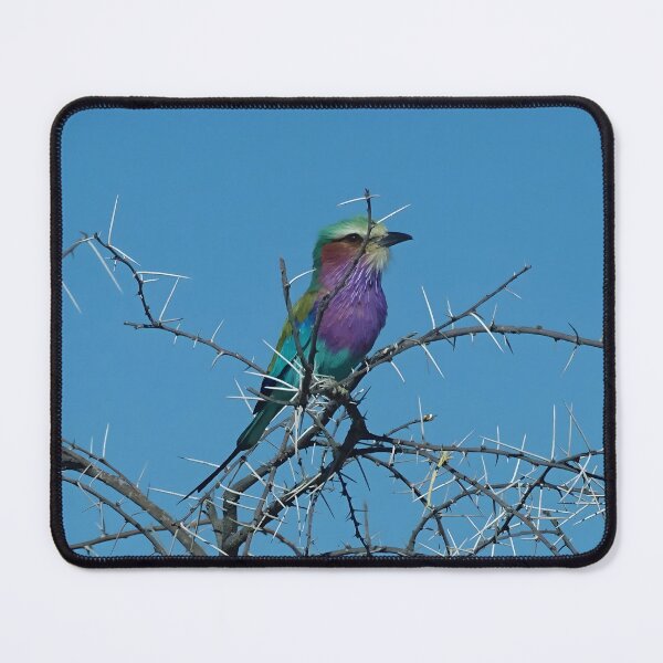 Item preview, Lilac-breasted roller bird - Etosha, Namibia designed and sold by Vik-Ink.