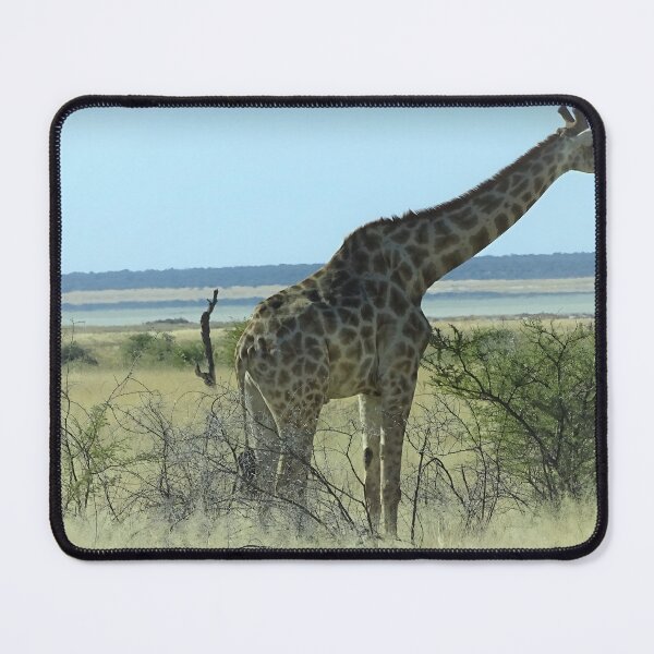 Item preview, Giraffe - Etosha, Namibia wildlife photography designed and sold by Vik-Ink.
