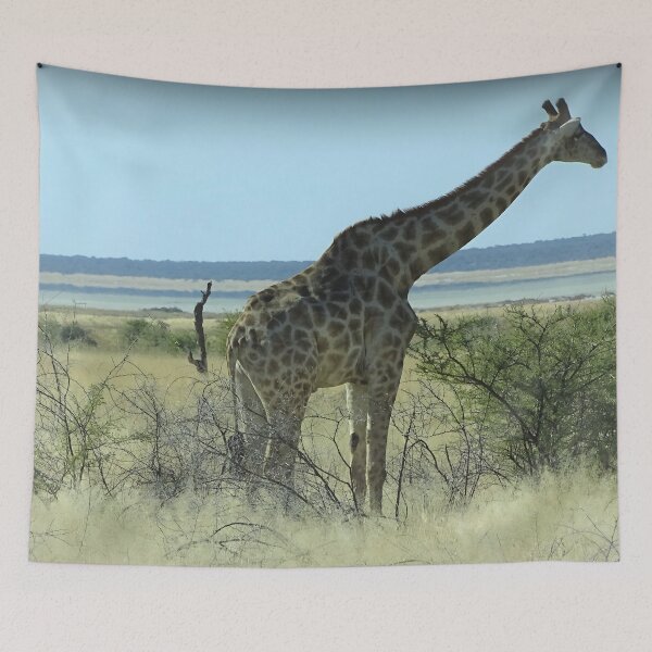 Item preview, Giraffe - Etosha, Namibia wildlife photography designed and sold by Vik-Ink.