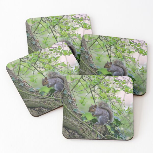 Item preview, Squirrel On The Lookout designed and sold by KLloydPhotos.