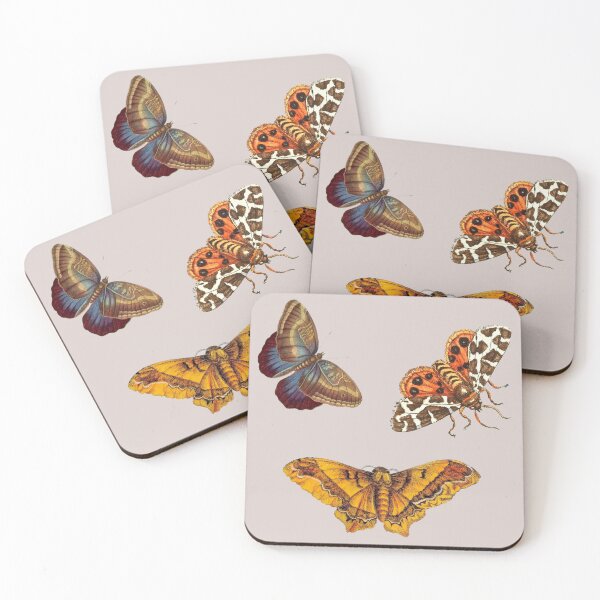 Item preview, Scientific illustration of three tropical butterflies. designed and sold by scientiafemina.