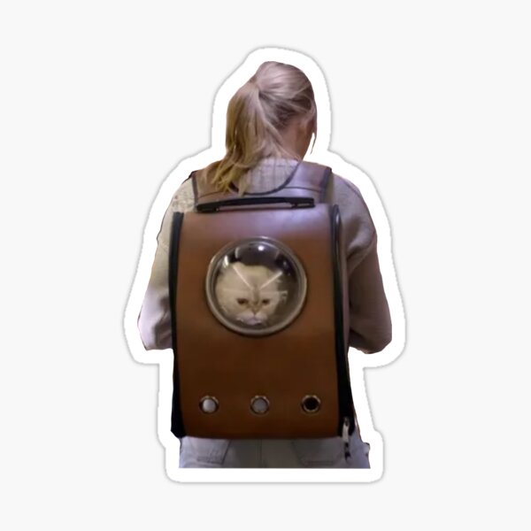 7 Best Cat Backpacks That Taylor Swift Would Approve Of · The Wildest