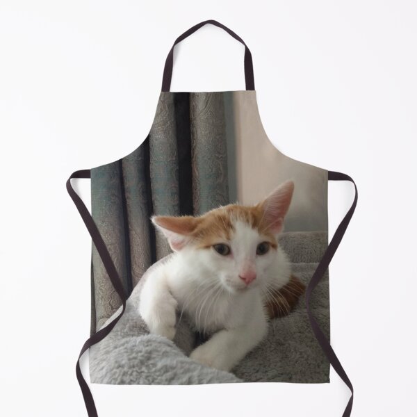 #295 |☼| "What You Say!?" - Marley (Cats) Apron