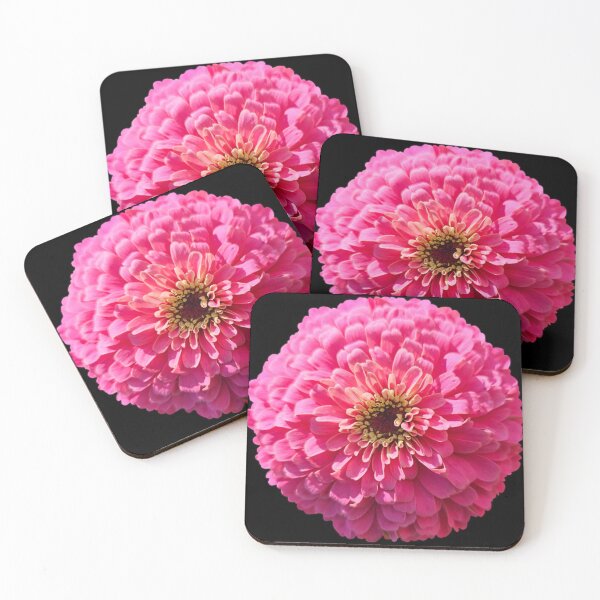 Item preview, Field Guide to Zinnias, No. 23, Pink Illumination Zinnia Flower designed and sold by Kristi Duggins.