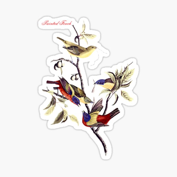 North American Birds Stickers for Sale