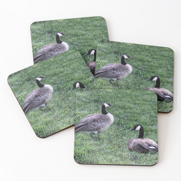 Item preview, All the Way From Canada and Nothing To Do and Nowhere To Go! designed and sold by heatherfriedman.