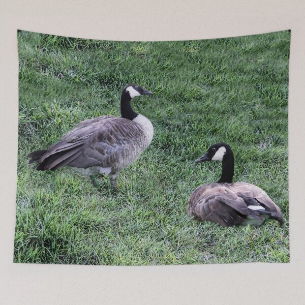 Item preview, All the Way From Canada and Nothing To Do and Nowhere To Go! designed and sold by heatherfriedman.