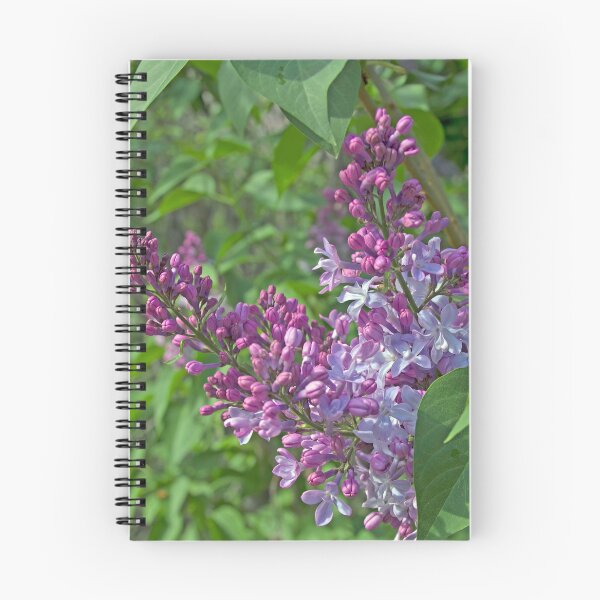 Item preview, Lilac Panicles designed and sold by alanathrower.