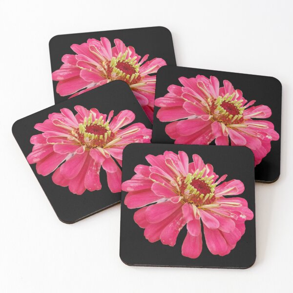 Item preview, Field Guide to Zinnias, No. 24, Pink Illumination Zinnia Flower designed and sold by Kristi Duggins.
