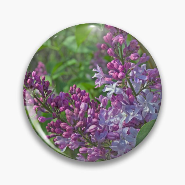 Item preview, Lilac Panicles designed and sold by alanathrower.