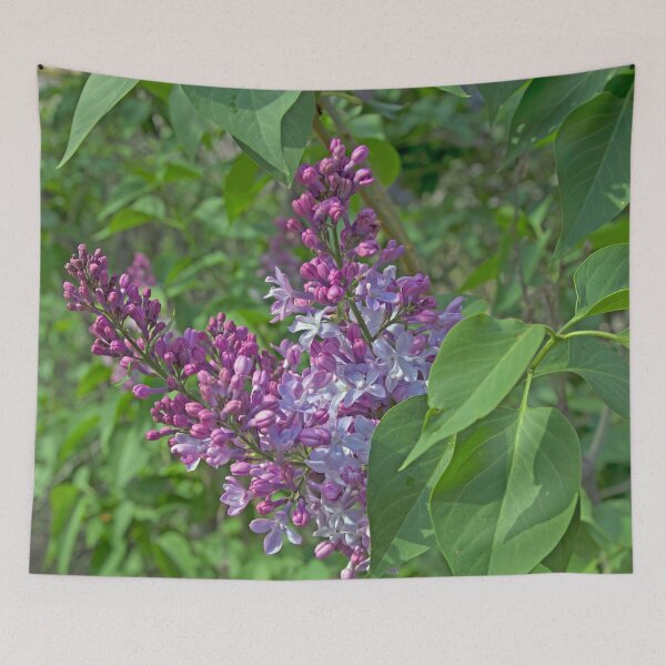 Item preview, Lilac Panicles designed and sold by alanathrower.