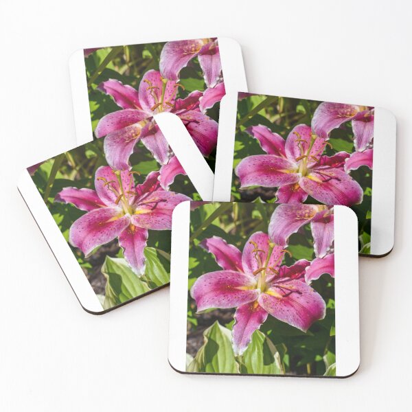 Item preview, When One Flower Blooms, Spring Awakens Everything - John O’Donohue designed and sold by GoatClicks.