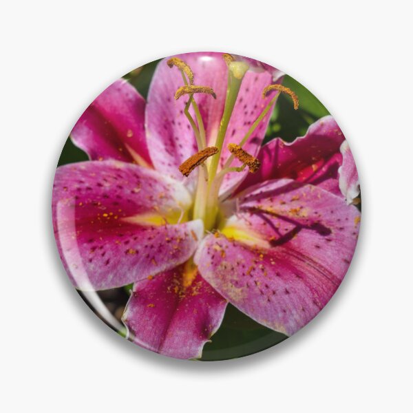 Item preview, When One Flower Blooms, Spring Awakens Everything - John O’Donohue designed and sold by GoatClicks.