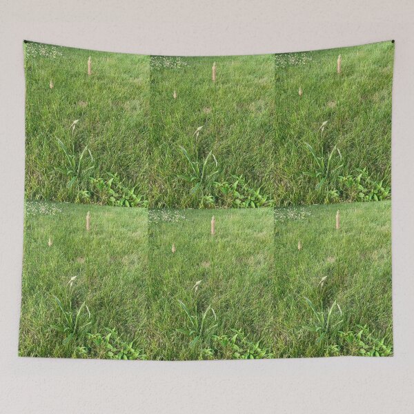 Item preview, Grassland Plants  designed and sold by Amanda1775.