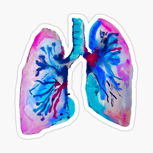 Watercolor Lung Illustration Sticker