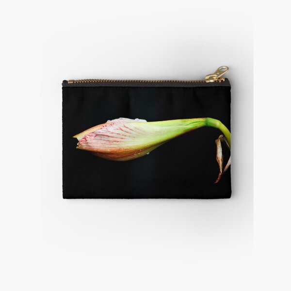 Item preview, Budding Amaryllis  designed and sold by Lozzar Flowers & Art.