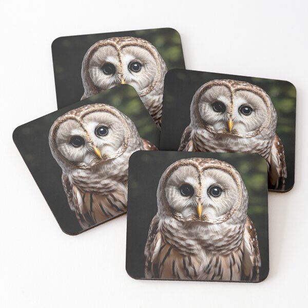 Item preview, Silent Specter: The Enigmatic Barred Owl designed and sold by Brendon987.