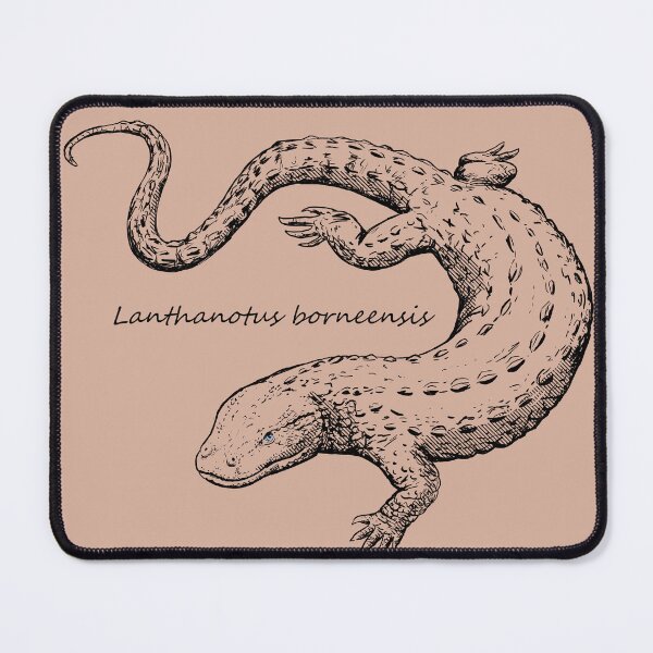 Item preview, Borneo Earless Monitor Sketch designed and sold by ArtByBreah.