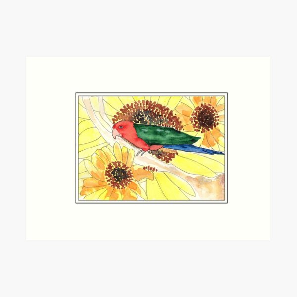 King Parrot Art Print