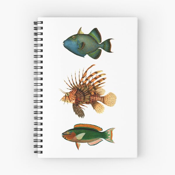 Item preview, Antique Fish print designed and sold by monsterplanet.