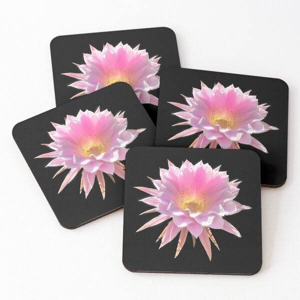 Item preview, Pretty in pink , torch cactus flower designed and sold by Floradigital.