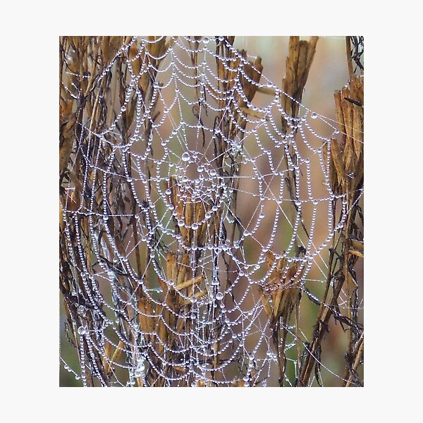 Item preview, DROPLETS OF DIAMONDS designed and sold by Magicath.