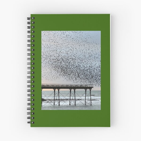 Item preview, Starling spectacle 	 	 designed and sold by kowchkbadrb32.