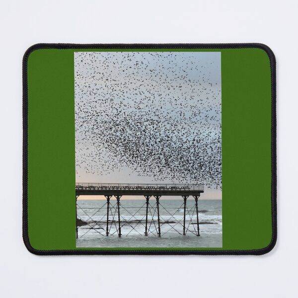 Item preview, Starling spectacle 	 	 designed and sold by kowchkbadrb32.