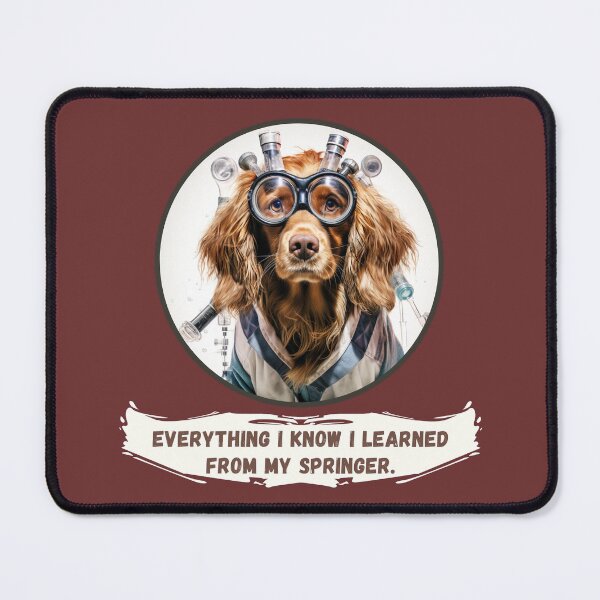 Item preview, Everything I Know - Springer Spaniel designed and sold by c1-dpc-rb.