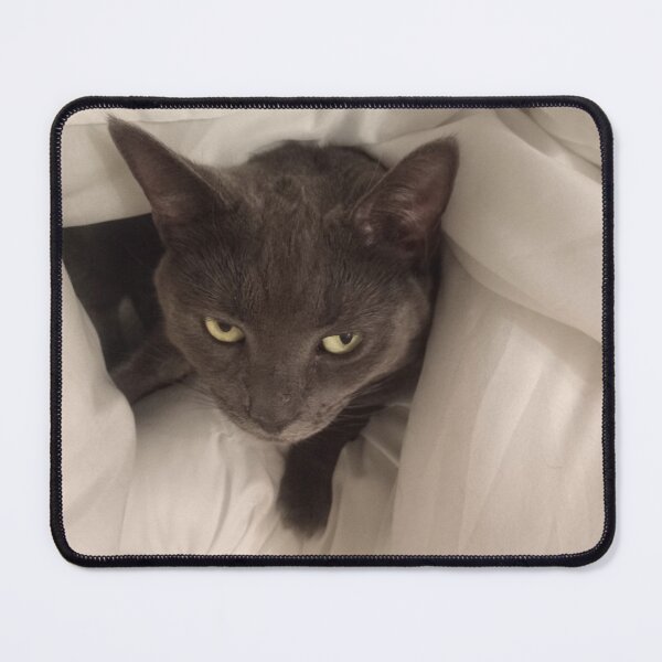 Item preview, #296 |☼| Mimi Undercover (Cats) designed and sold by Naean H.F. (Nez Man).