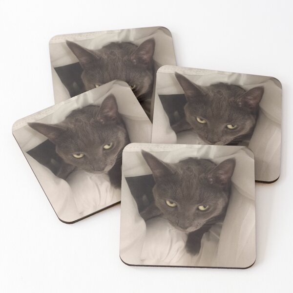 Item preview, #296 |☼| Mimi Undercover (Cats) designed and sold by Naean H.F. (Nez Man).