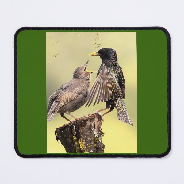 Item preview, Starlings Drawstring Bag 	 designed and sold by kowchkbadrb32.
