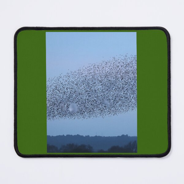 Item preview, Starlings murmuration  Framed Art Print 	 designed and sold by kowchkbadrb32.