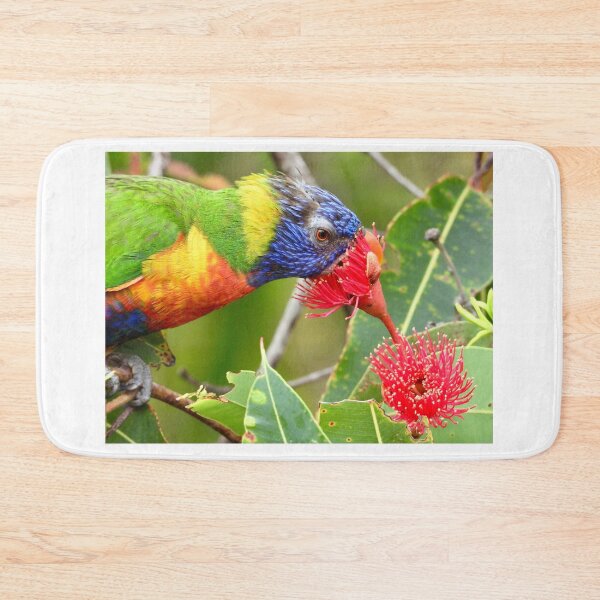 Item preview, bird kiss a flower Rainbow Lorikeet  designed and sold by Mark Grimsley.