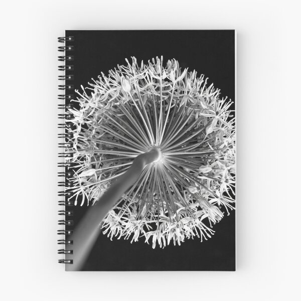 Item preview, Allium flower designed and sold by assaf.