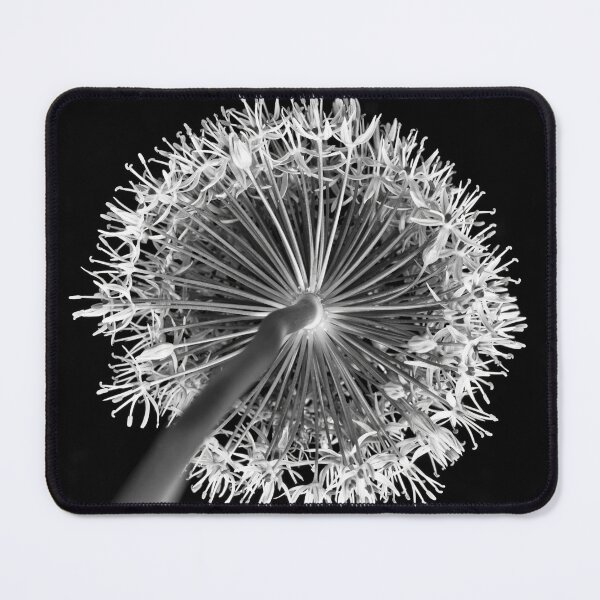 Item preview, Allium flower designed and sold by assaf.