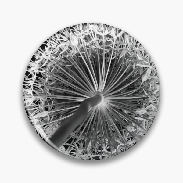 Item preview, Allium flower designed and sold by assaf.