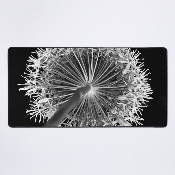 Item preview, Allium flower designed and sold by assaf.