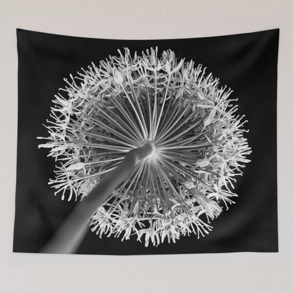 Item preview, Allium flower designed and sold by assaf.