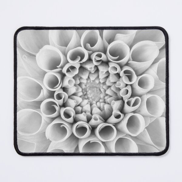 Item preview, Pompom Dahlia designed and sold by assaf.