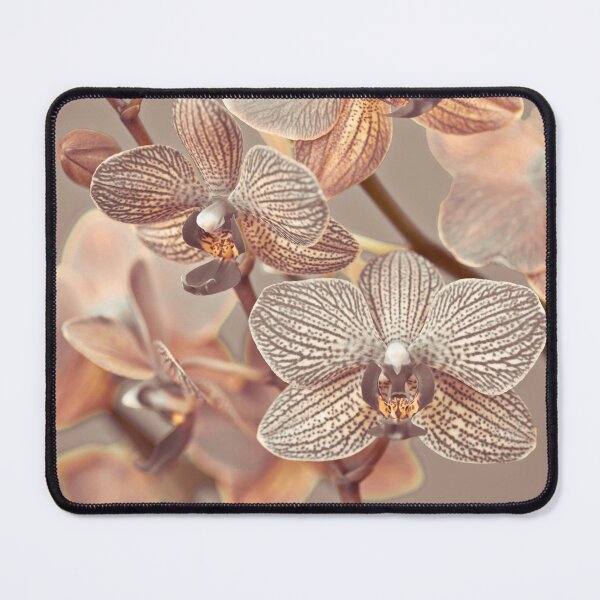 Item preview, Beautiful Orchids designed and sold by assaf.
