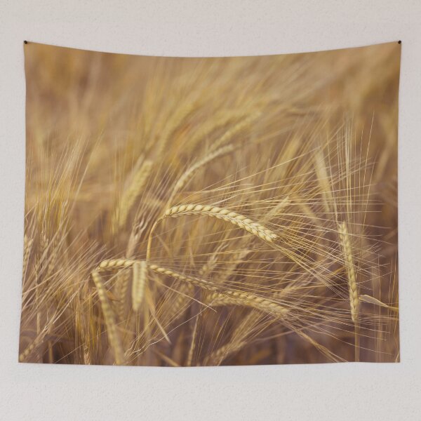 Item preview, Wheat Field designed and sold by assaf.
