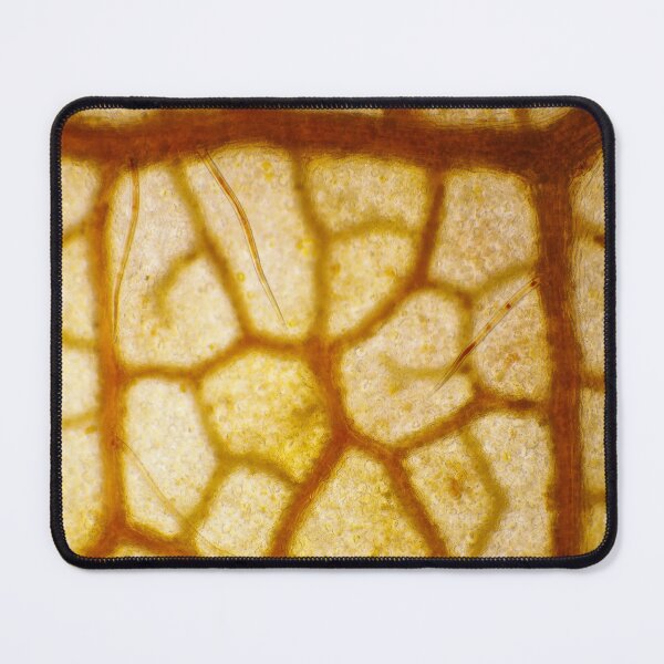 Item preview, Red autumn maple leaf under the microscope designed and sold by SDym Photography.