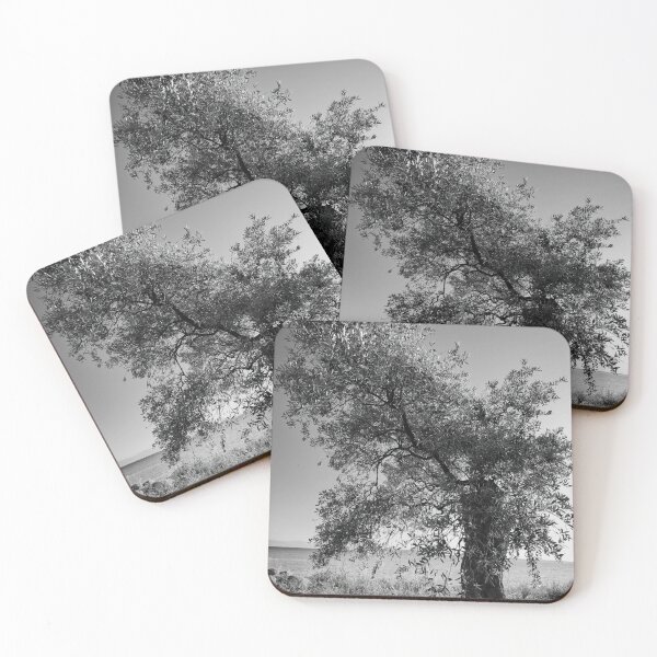 Item preview, Cut Olive bw designed and sold by Jouko Lehto Photography.
