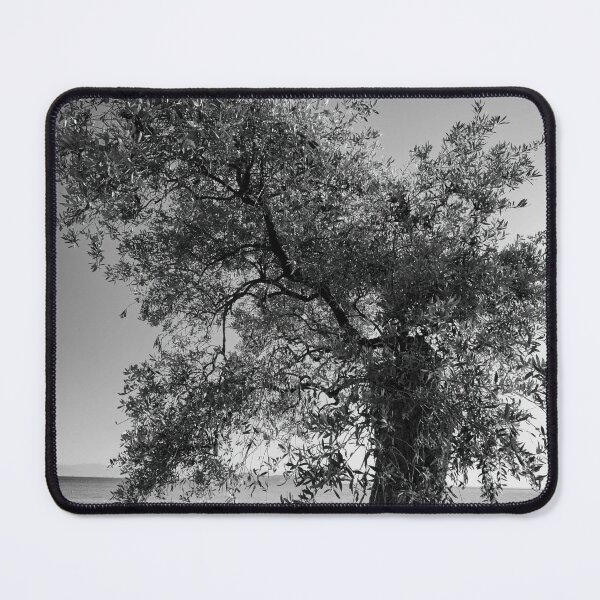 Item preview, Cut Olive bw designed and sold by Jouko Lehto Photography.