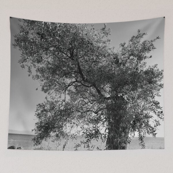 Item preview, Cut Olive bw designed and sold by Jouko Lehto Photography.